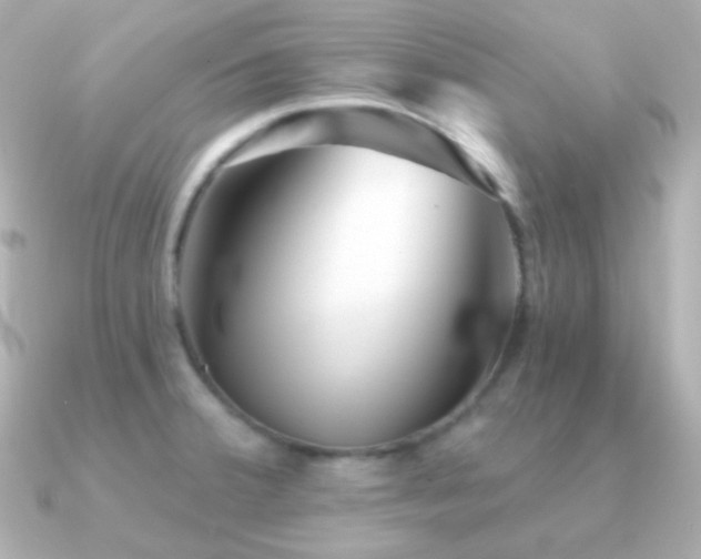 X0000091341380200708101436