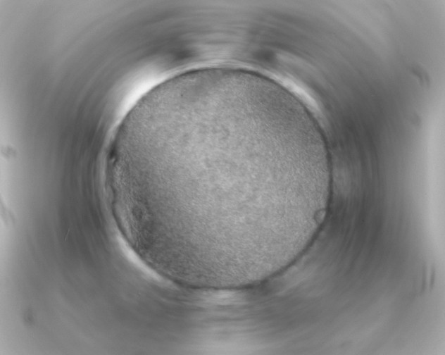 X0000091341382200708101436