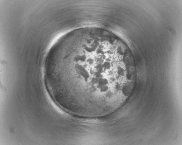 X0000091341383200708101436