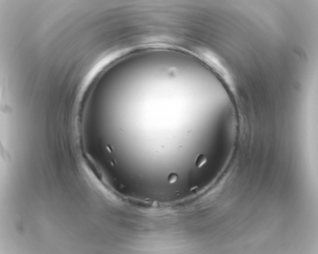 X0000091341384200708101436