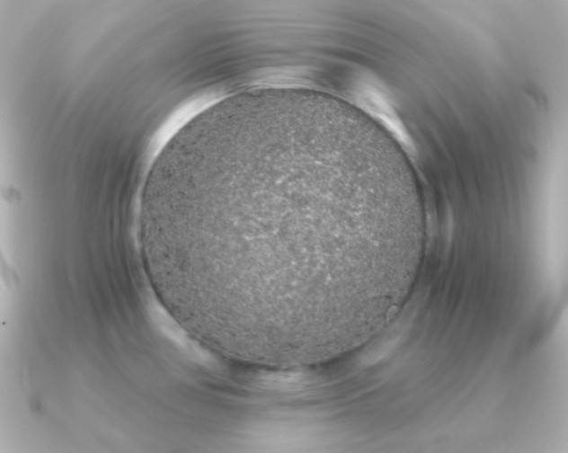 X0000091341386200708101436
