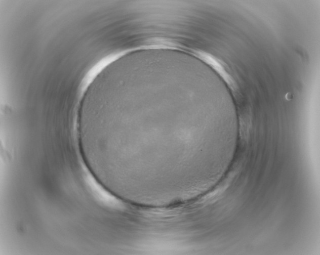X0000091341387200708101436