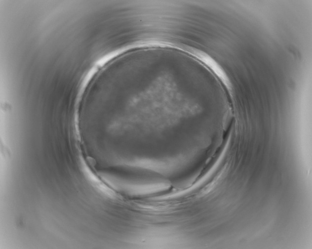 X0000091341388200708101436
