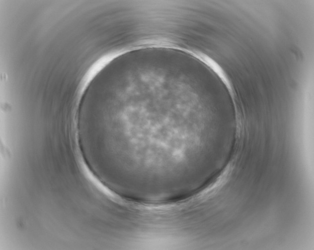 X0000091341389200708101436