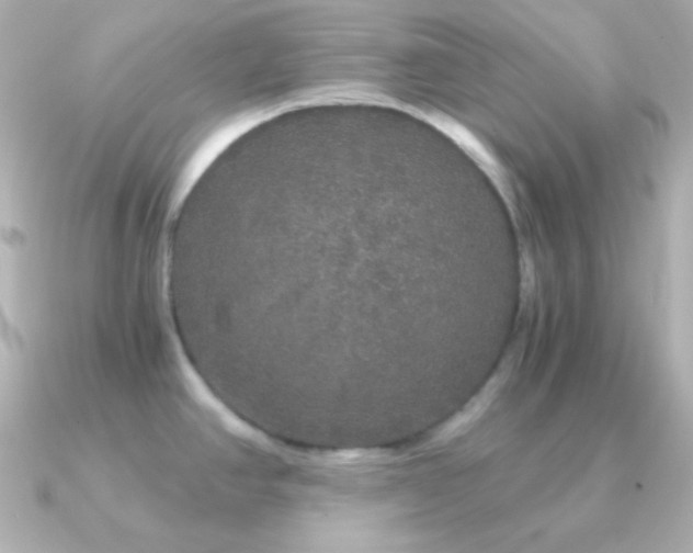 X0000091341390200708101436