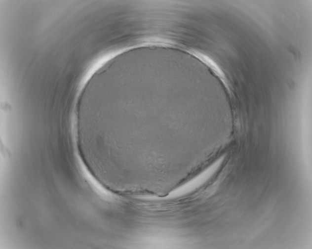 X0000091341391200708101436