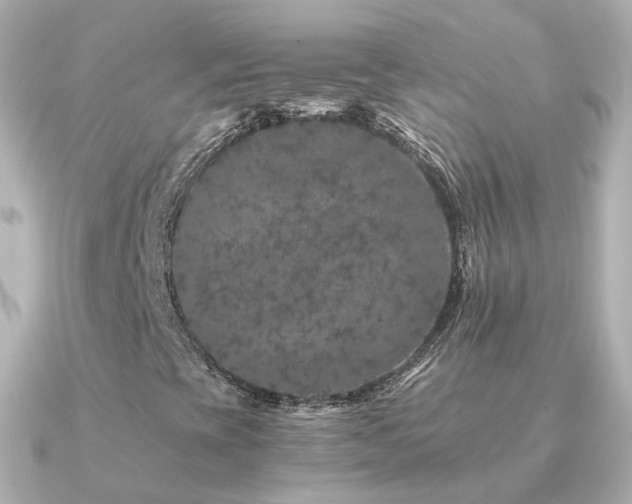 X0000091341393200708101435