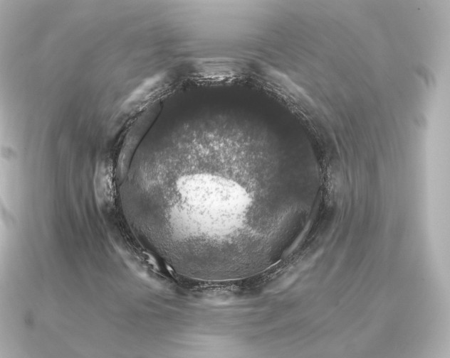 X0000091341394200708101435