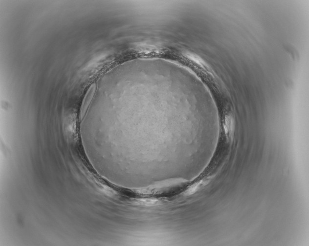 X0000091341396200708101435