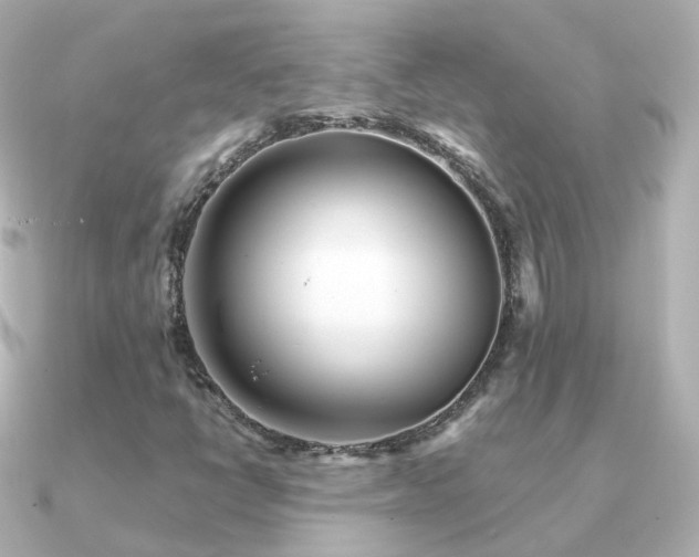X0000091341398200708101435