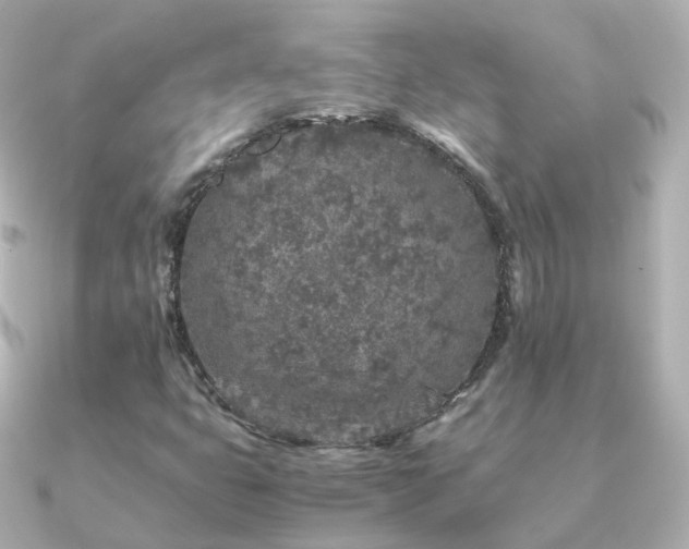 X0000091341399200708101435
