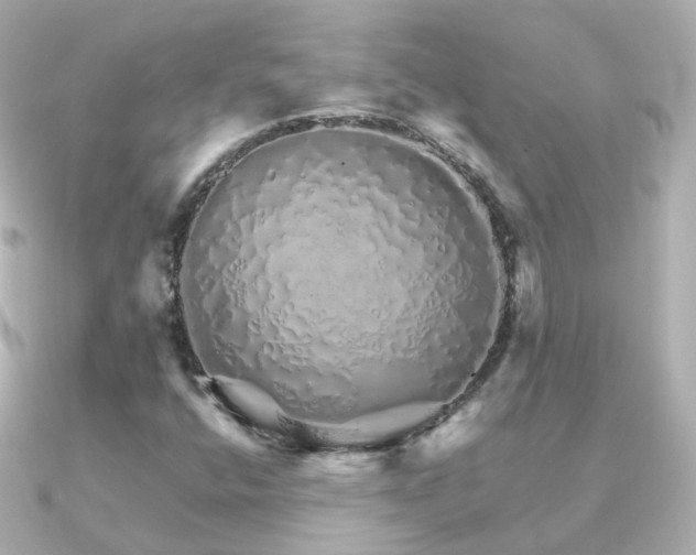 X0000091341400200708101435