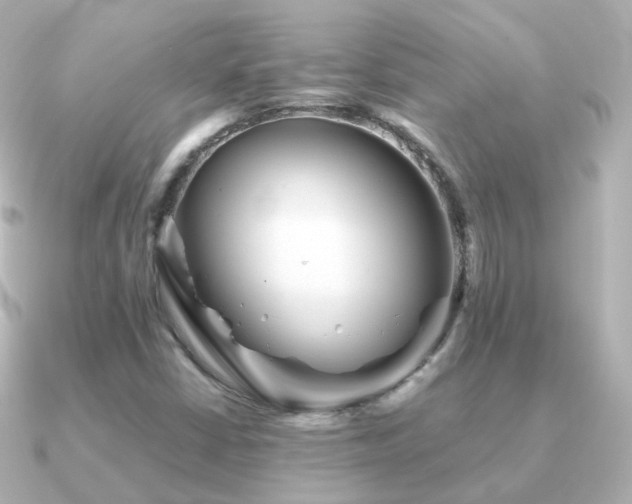 X0000091341402200708101435