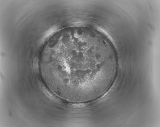 X0000091341403200708101435