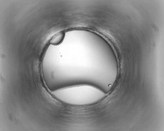 X0000091341404200708101435