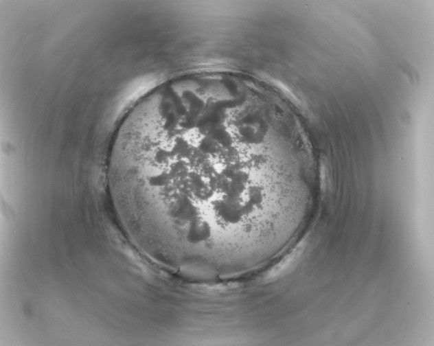 X0000091341405200708101435