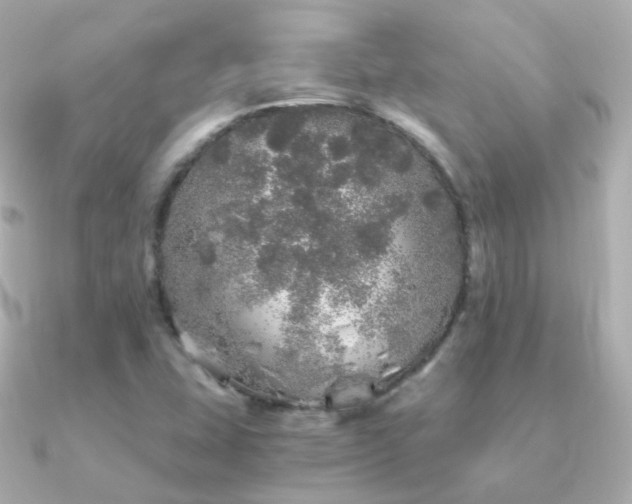 X0000091341407200708101435