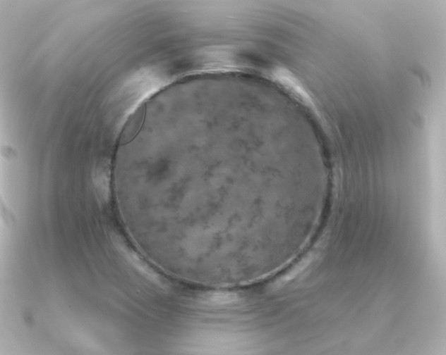 X0000091341409200708101435