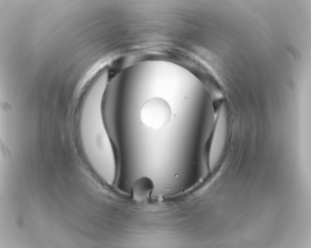 X0000091341410200708101435