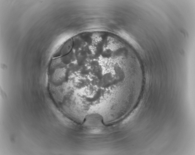 X0000091341413200708101435