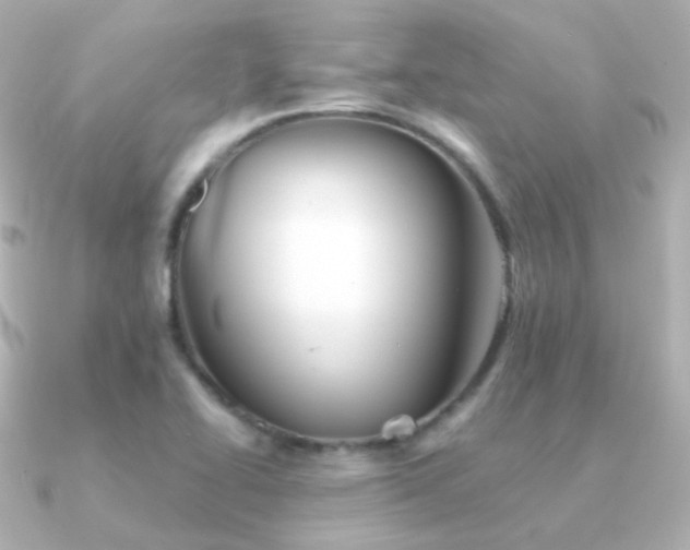 X0000091341414200708101435