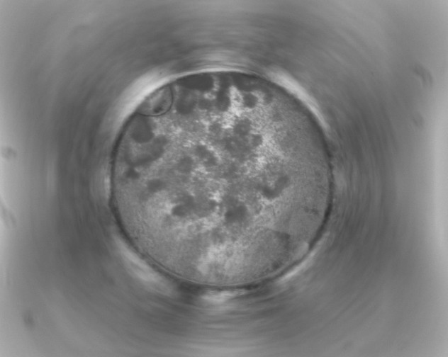 X0000091341415200708101435