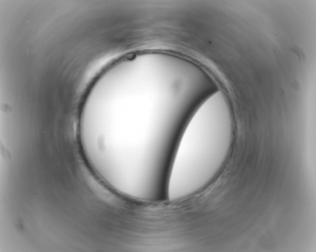 X0000091341416200708101435