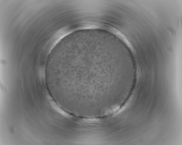 X0000091341417200708101435