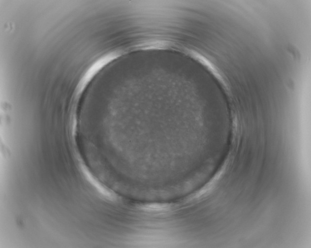 X0000091341418200708101435