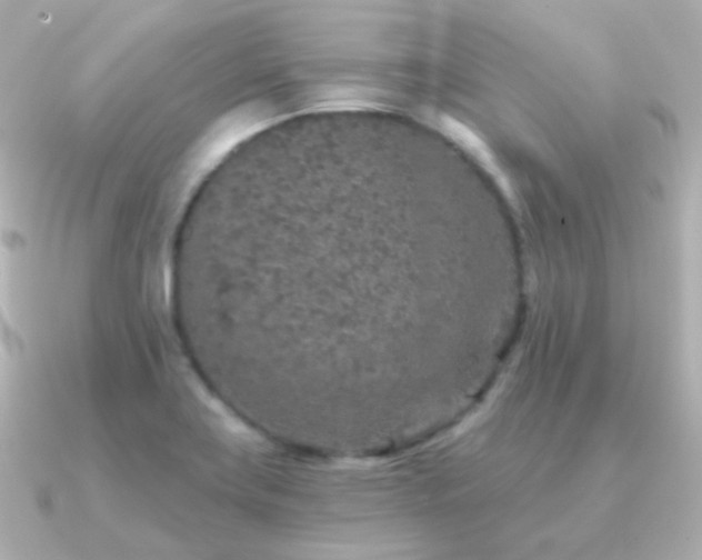 X0000091341419200708101435