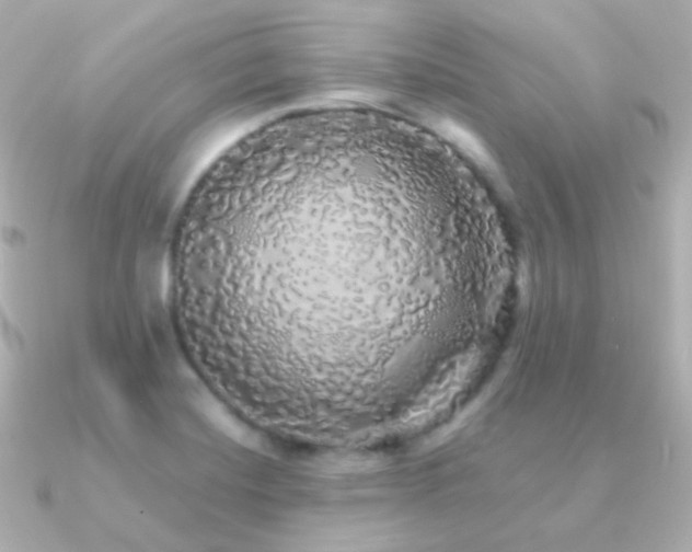 X0000091341420200708101435