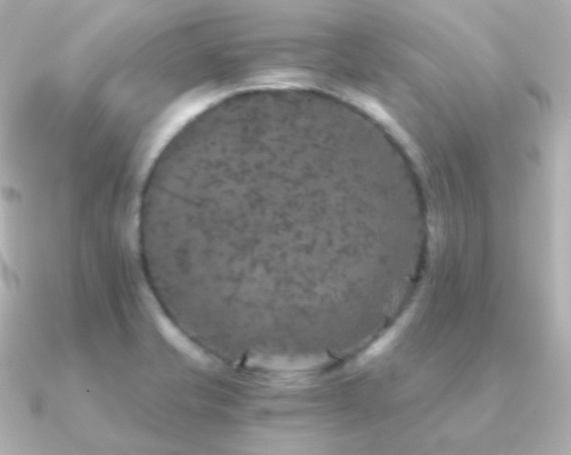 X0000091341421200708101435