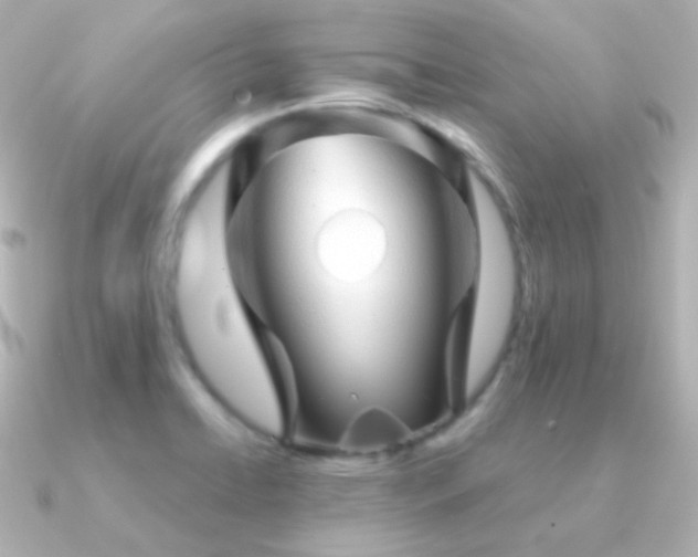 X0000091341422200708101435