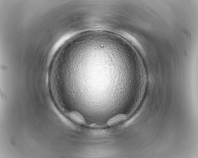 X0000091341424200708101435
