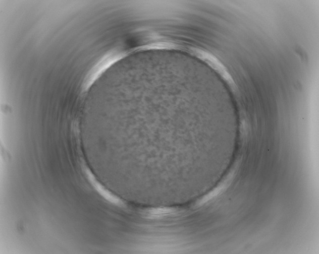X0000091341425200708101435