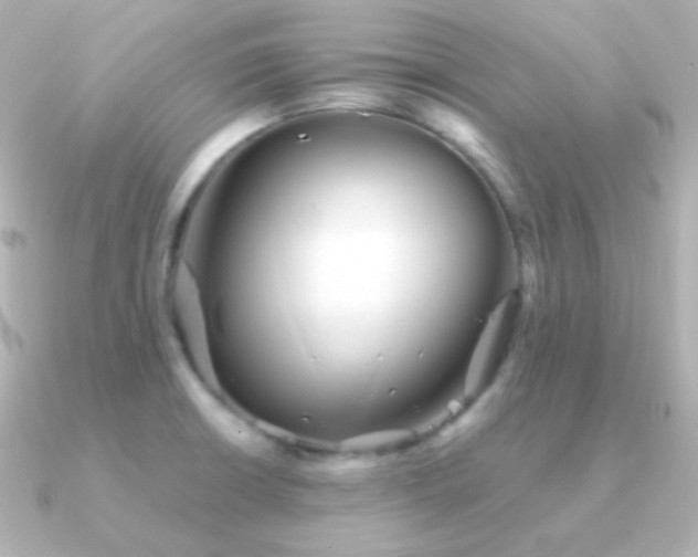 X0000091341426200708101435