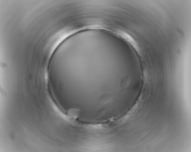 X0000091341428200708101435