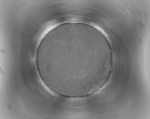 X0000091341429200708101436