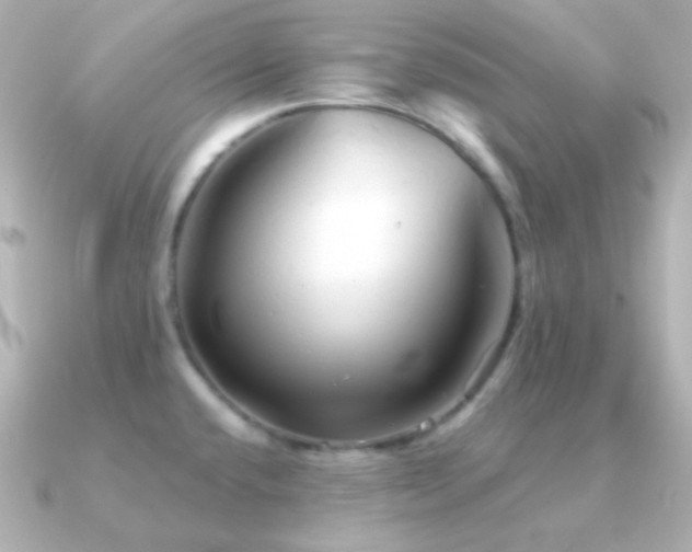 X0000091341432200708101436