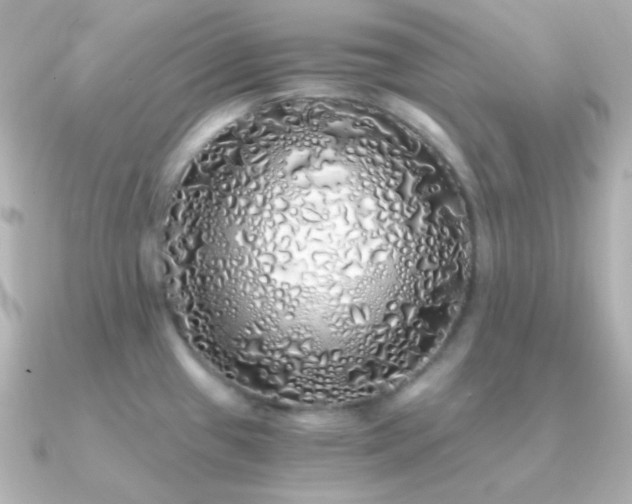 X0000091341433200708101436