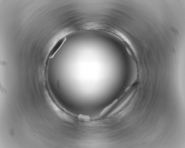 X0000091341434200708101436