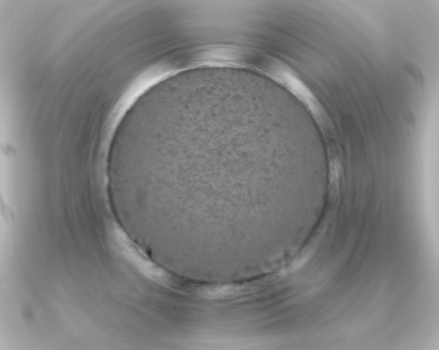 X0000091341435200708101436