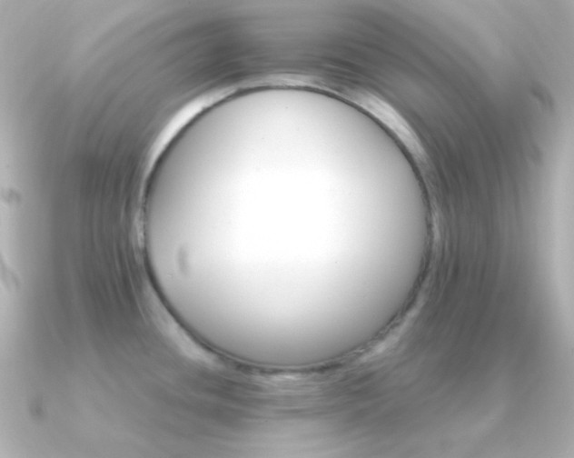 X0000091341436200708101436