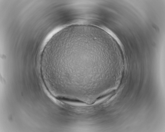 X0000091341437200708101436