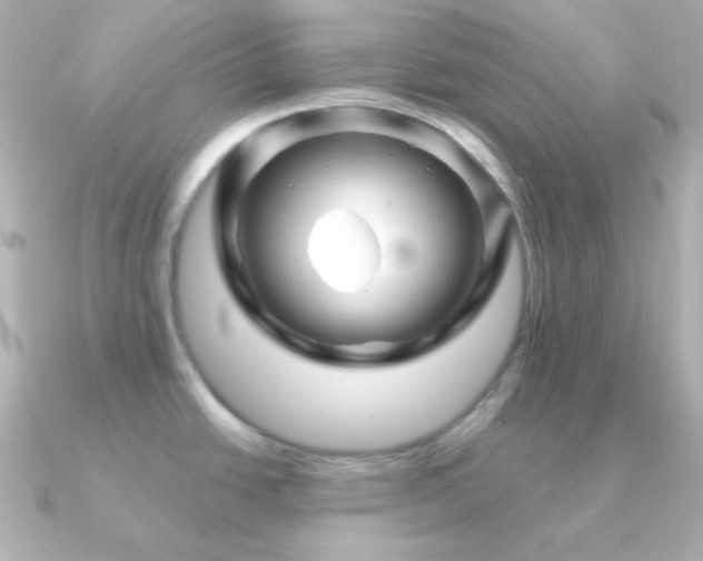 X0000091341438200708101436