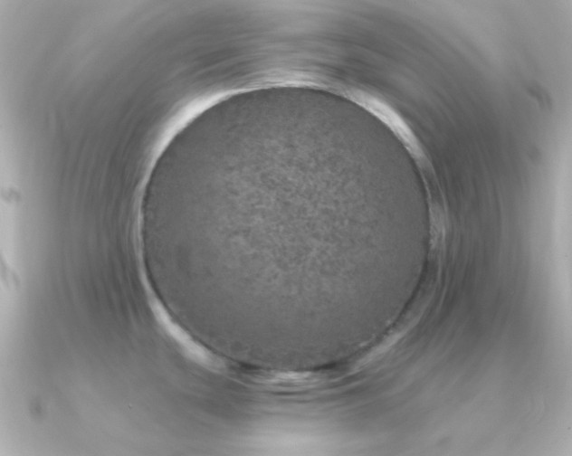 X0000091341439200708101436