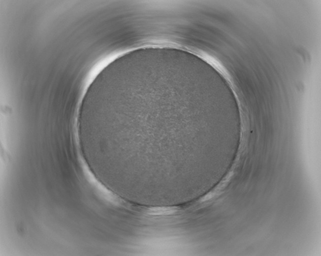 X0000091341440200708101436