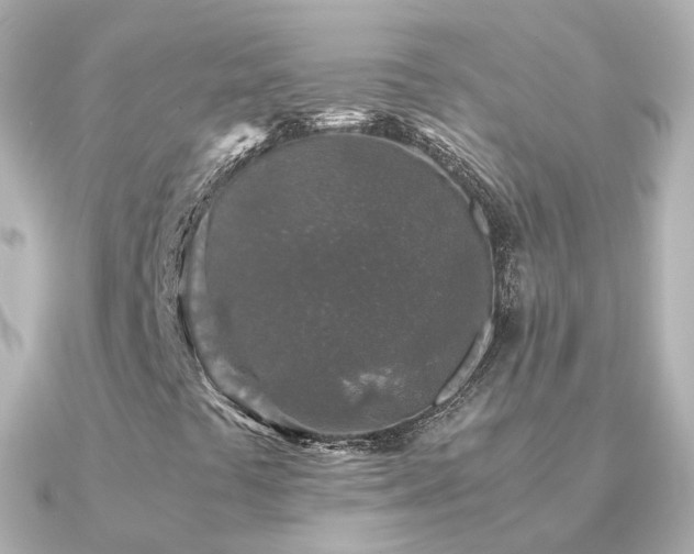 X0000091341441200708101435