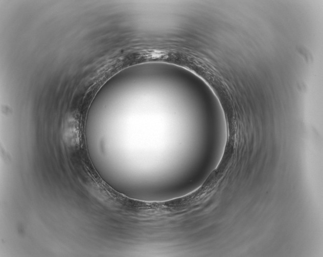 X0000091341442200708101435