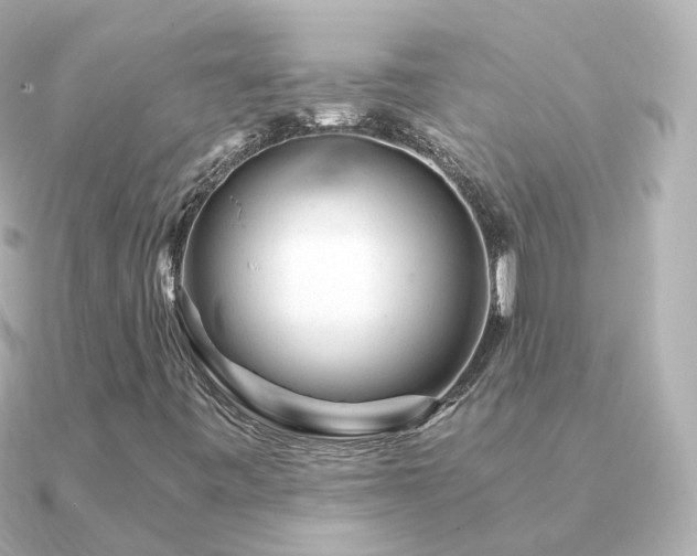 X0000091341443200708101435